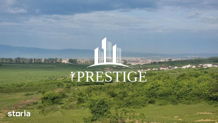 Teren de 2000 mp, în Trei Stejari