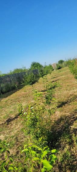 Teren de 1300 mp, în Plătărești