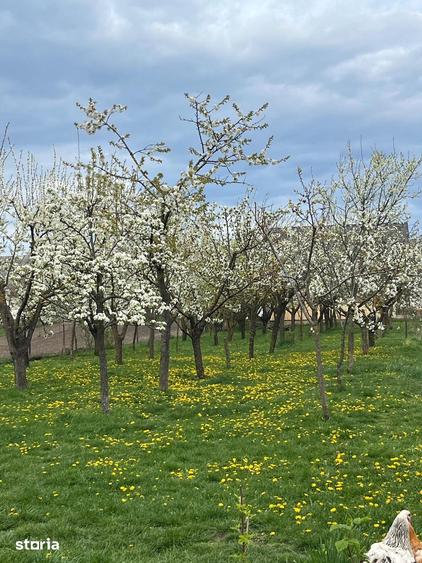 Casă cu 7 camere cu Teren 1783 Mp în Hărman