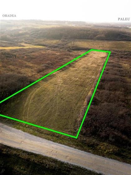Teren Construcții intravilan de 6895 mp, în Uileacu de Munte