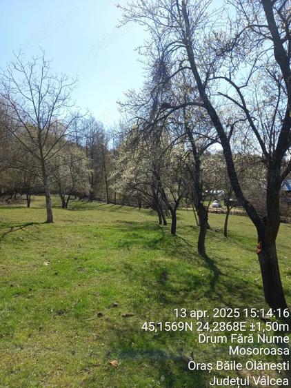 Teren de 2600 mp, în Mosoroasa