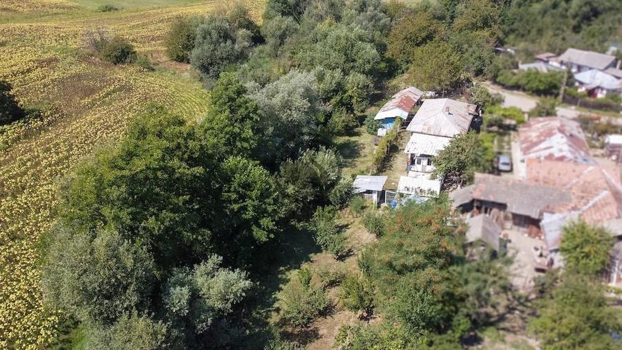 Casă cu 1 camere cu Teren 2846 Mp în Coada Izvorului