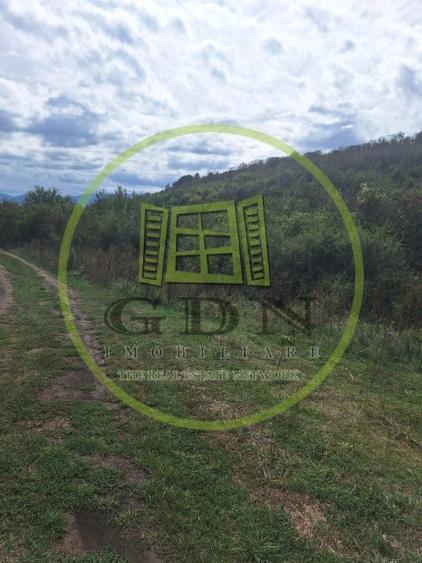 Teren agricol extravilan de 700 mp, în Gușterița