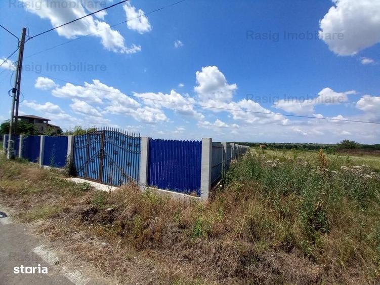 Spațiu comercial, în Grădiștea