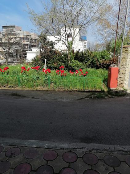 Casă individuală cu 12 camere cu Teren 1000 Mp în Central