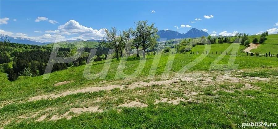 Teren de 8500 mp, în Poiana Mărului