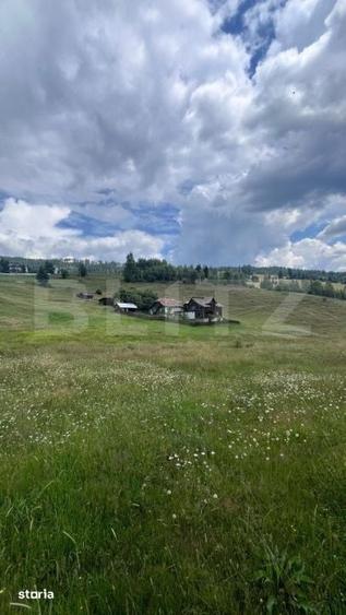 Teren de 36000 mp, în Bosanci