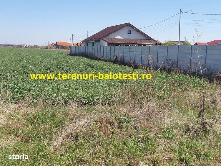 Teren de 550 mp, în Balotești