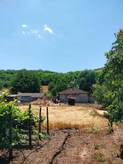 Casă cu 4 camere în Canlia