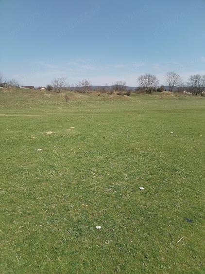 Teren de 5500 mp, în Ruși-Ciutea