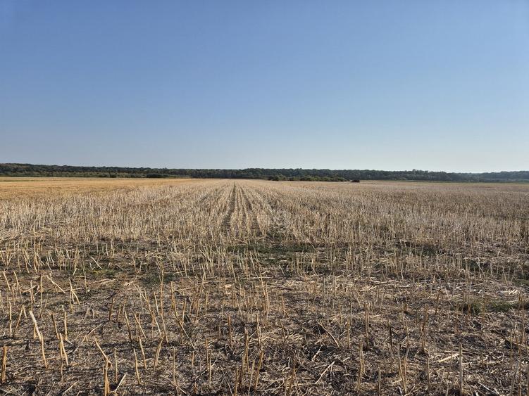 Teren agricol intravilan de 22400 mp, în Periș