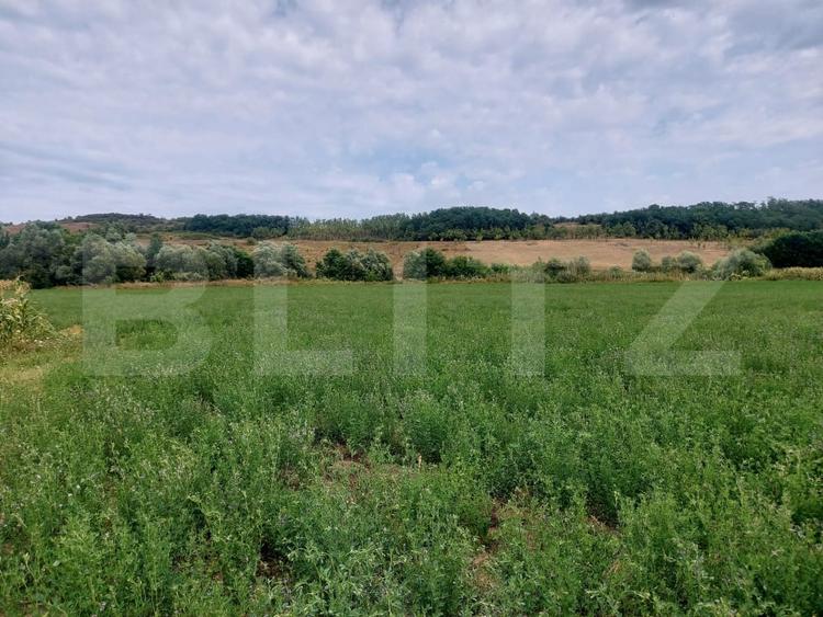 Teren agricol intravilan de 27500 mp, în Răscruci