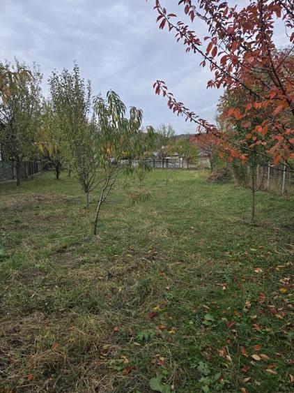 Teren Construcții de 811 mp, în Brebu