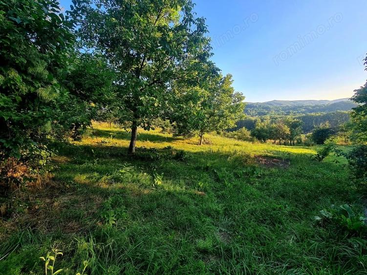 Teren de 3250 mp, în Păușești