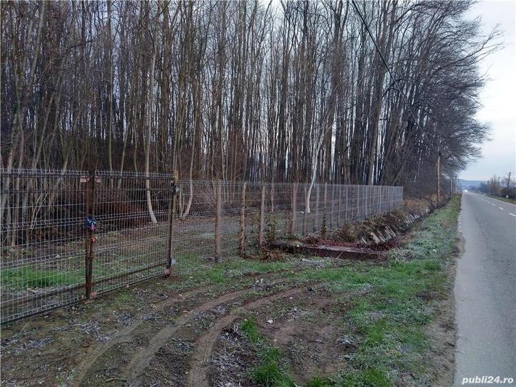 Teren de 100000 mp, în Valea Nenii