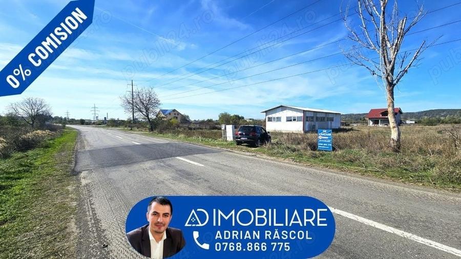 Teren în Narciselor