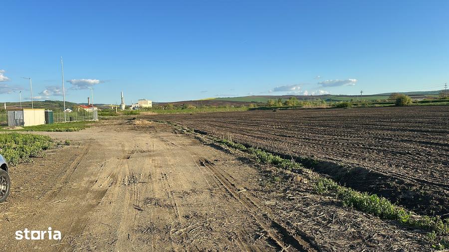 Teren de 10000 mp, în Târnăveni