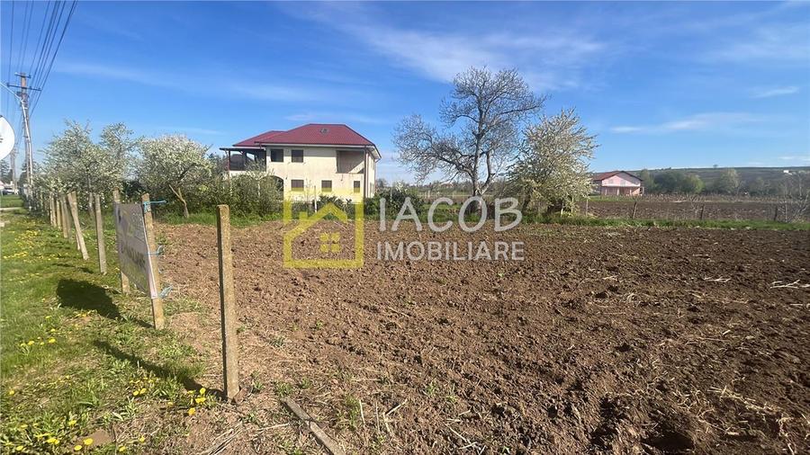 Teren Construcții intravilan de 2554 mp, în Prăjești (Traian)