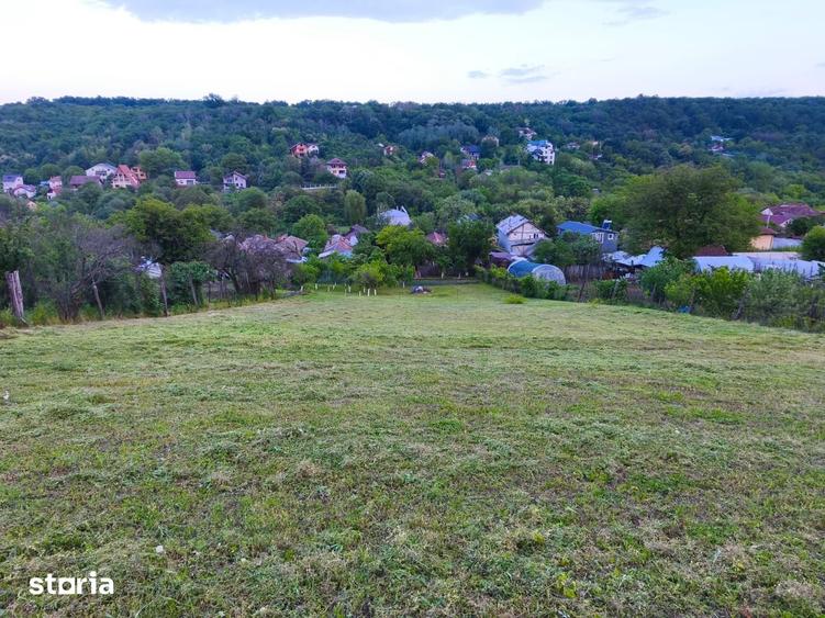 Teren intravilan de vanzare, 2000 mp, deal, padure - 7