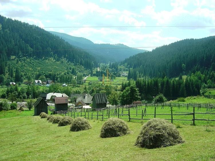 Teren de 32522 mp, în Valea Putnei