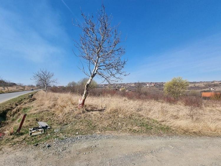 Teren Construcții intravilan de 8000 mp, în Daia