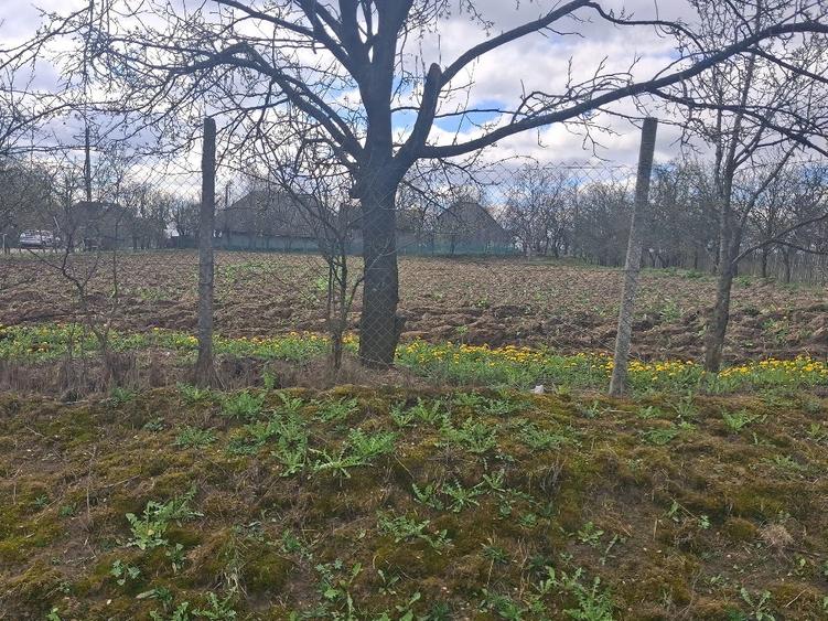 Teren de 2800 mp, în Horodnic