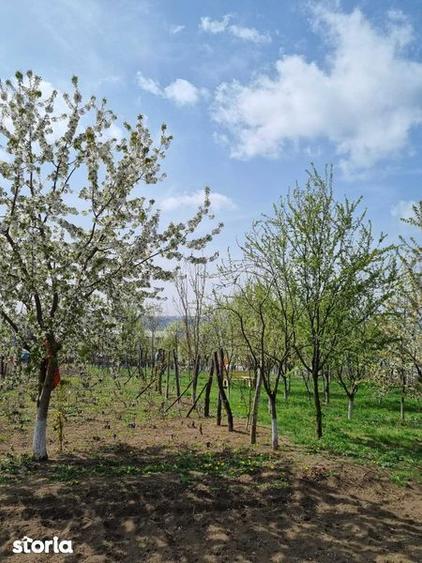 Casă cu 4 camere cu Teren 180 Mp în Răchiți