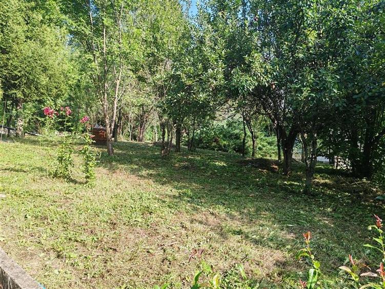 Casă individuală cu 5 camere cu Teren 1334 Mp în Telega