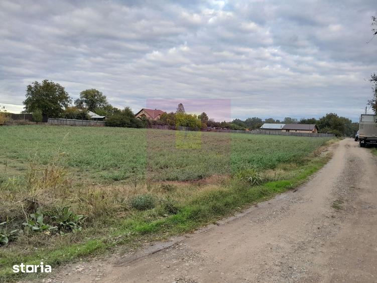 Teren de 2062 mp, în Manasia