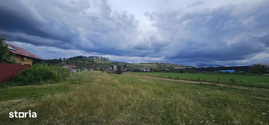 Teren de 1450 mp, în Tărlungeni