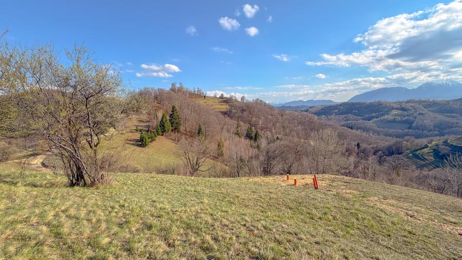 Refugiu de poveste în inima naturii | 12.000 mp în Holbav | Proiect început - 17