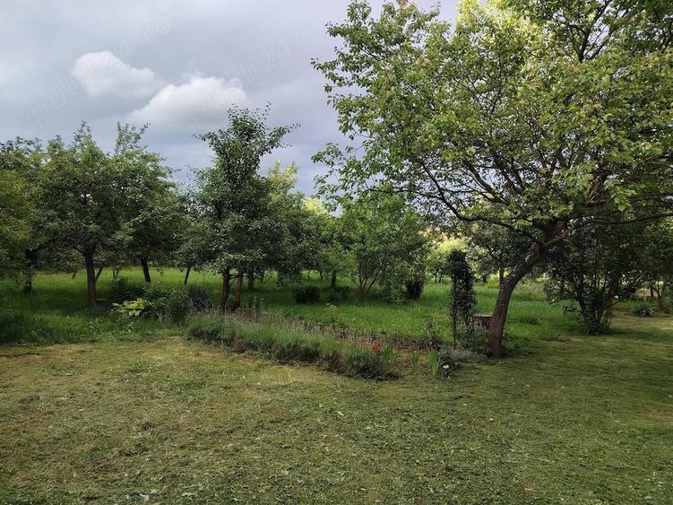 Casă cu 2 camere cu Teren 2500 Mp în Peșteana