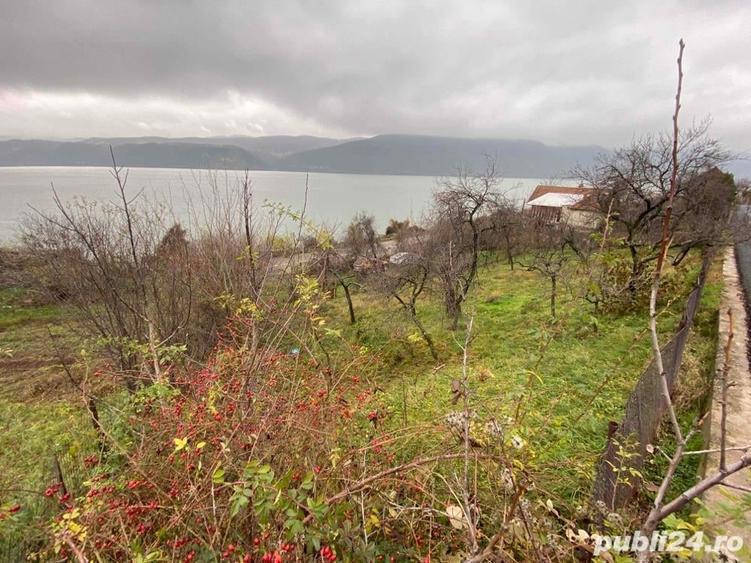 Teren de 379 mp, în Svinița