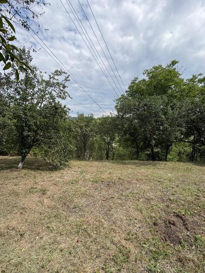 Teren Construcții intravilan de 2200 mp, în Ortelec