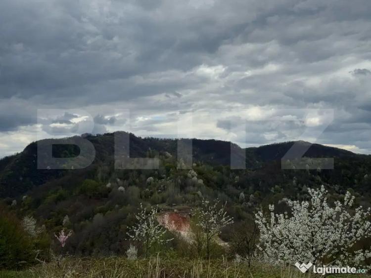 Casă cu 2 camere cu Teren 10000 Mp în Central