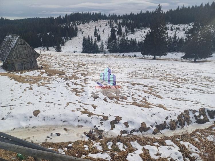 Teren agricol intravilan de 10900 mp, în Măguri-Răcătău