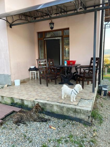 Casă cu Teren 640 Mp în Central