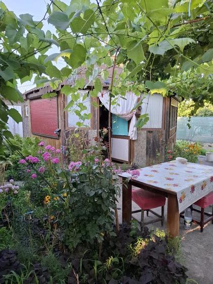 Teren de 50000 mp, în Murighiol