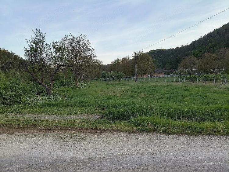 Teren de 34 mp, în Buciumi