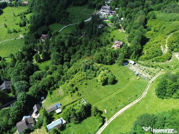 Teren în Lepșa