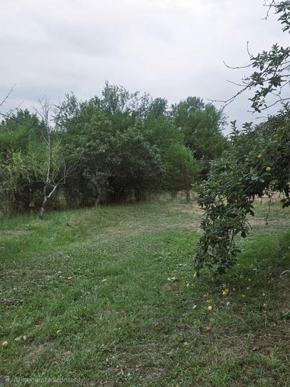 Casă individuală cu 5 camere cu Canalizare în Olteni
