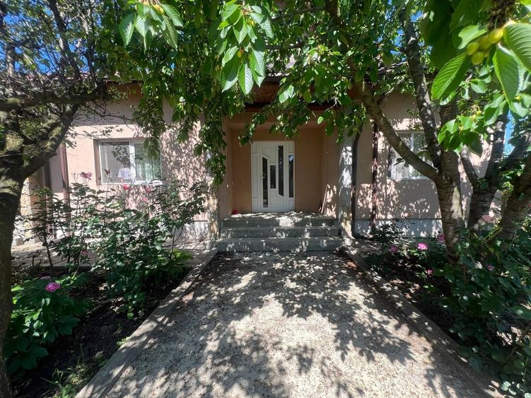 Casă individuală cu 3 camere cu Teren 357 Mp în Albești