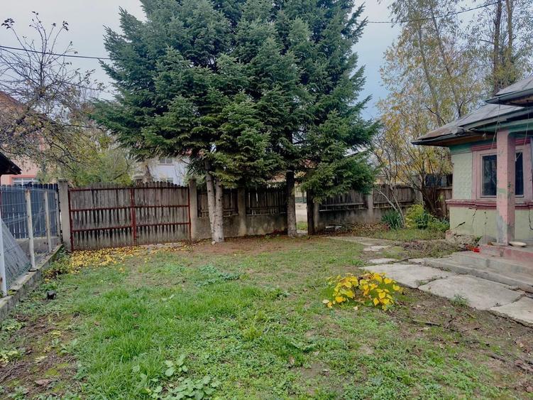 Teren Construcții intravilan de 2306 mp, în Tâncăbești