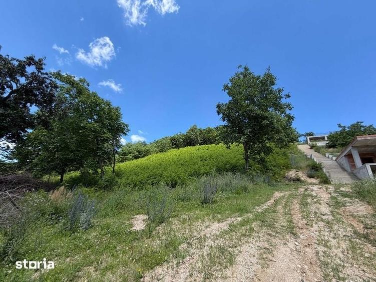 Vand teren intravilan 2.500 mp in Cisnadioara / jud. Sibiu - 3