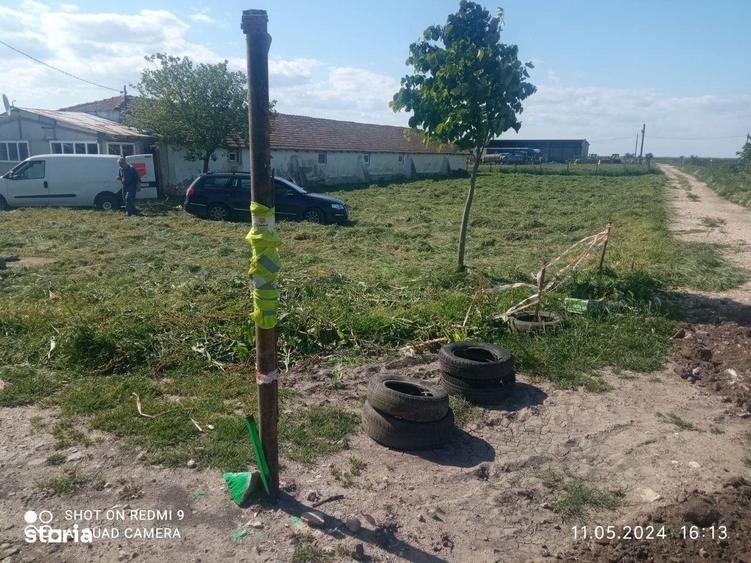 Topraisar langa Biosera Sofra teren 4649 mp cu hala 347 mp 17 eur mp - 4