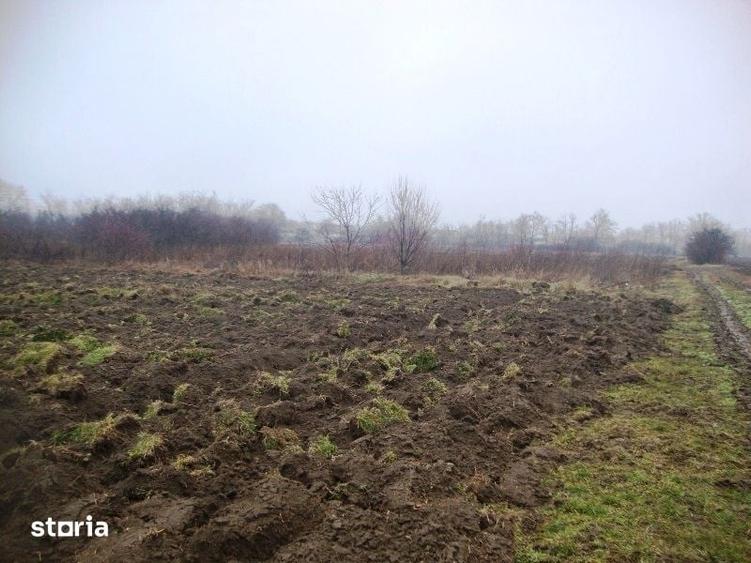 Teren de 2306 mp, în Cocorăștii Mislii