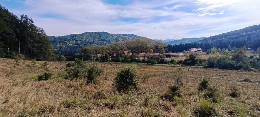 Teren Construcții intravilan de 20000 mp, în Brădet