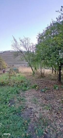 Casă cu 2 camere cu Teren 2000 Mp în Apahida
