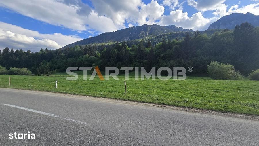 Teren de 7600 mp, în Plaiul Foii