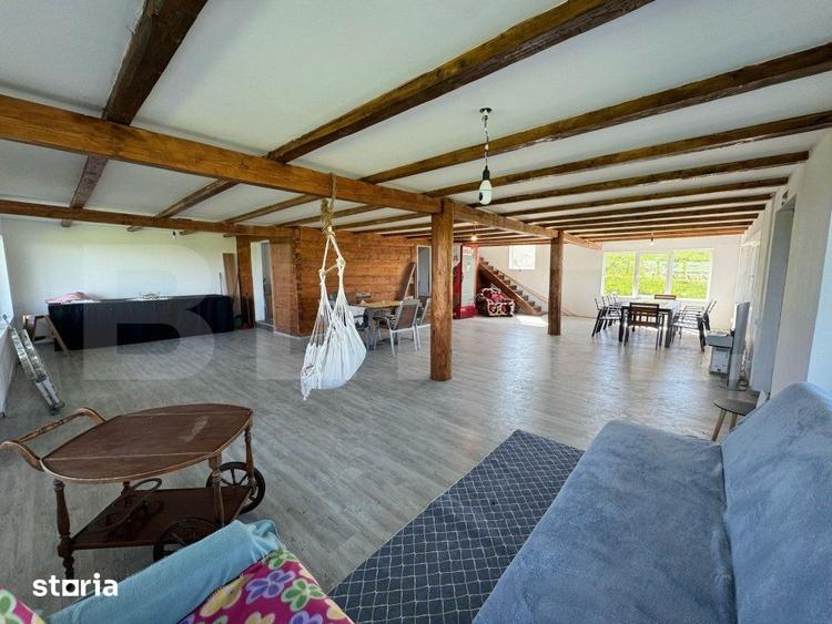 Casă cu 6 camere cu Teren 8700 Mp în Mihai Viteazu